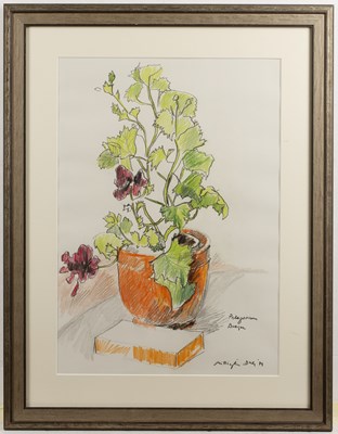 Lot 375 - Teddy Millington-Drake (1932-1994) Pelargonium...