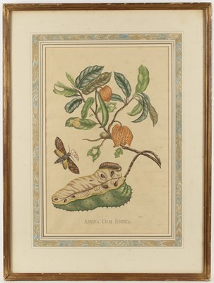 Lot 97 - After Pieter Sluyter 'Anona Cum Eruca',...