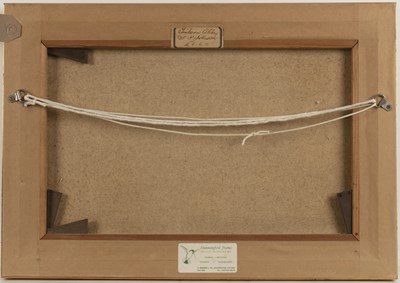 Lot 454 - Sidney Yates, Johnson (act. 1890-1926)...