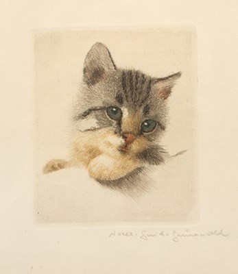 Lot 232 - 20th Century School 'Untitled grey Kitten',...