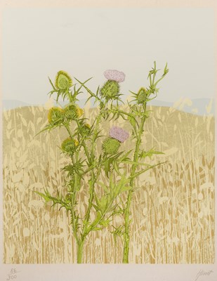 Lot 219 - Joan Hunt (Contemporary) 'Untitled Thistles in...