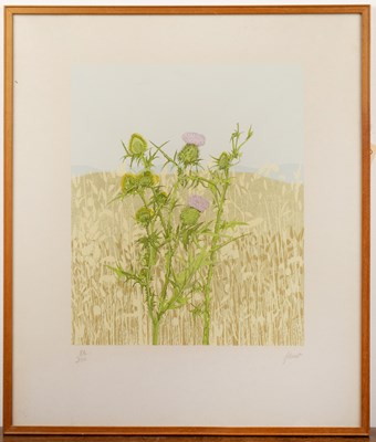 Lot 219 - Joan Hunt (Contemporary) 'Untitled Thistles in...