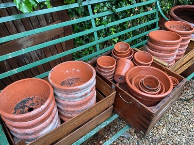 Lot 1333 - A collection of terracotta pots