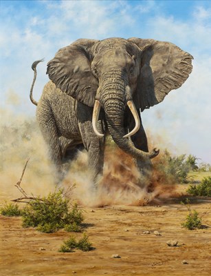Lot 212 - Steve Burgess (b.1960) 'African Elephant', oil...