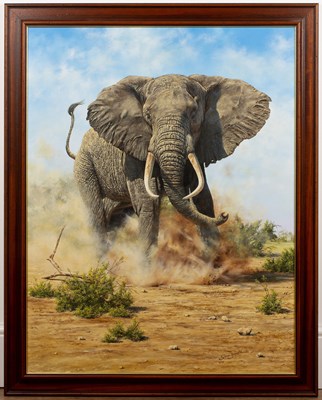 Lot 212 - Steve Burgess (b.1960) 'African Elephant', oil...