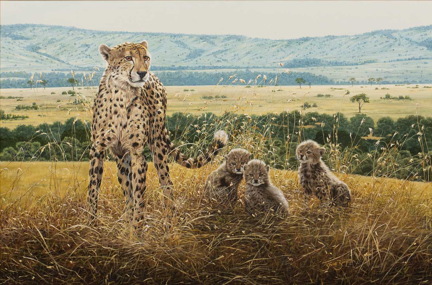 Lot 213 - Steve Burgess (b.1960) 'Study of a cheetah and...