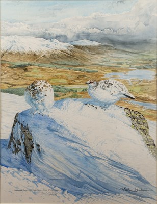 Lot 211 - Keith Brockie (b.1955) 'Sherramore, Spey...