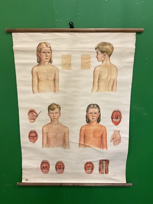Lot 577 - A large collection of German educational posters on anatomy and biology