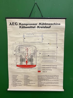 Lot 577 - A large collection of German educational posters on anatomy and biology