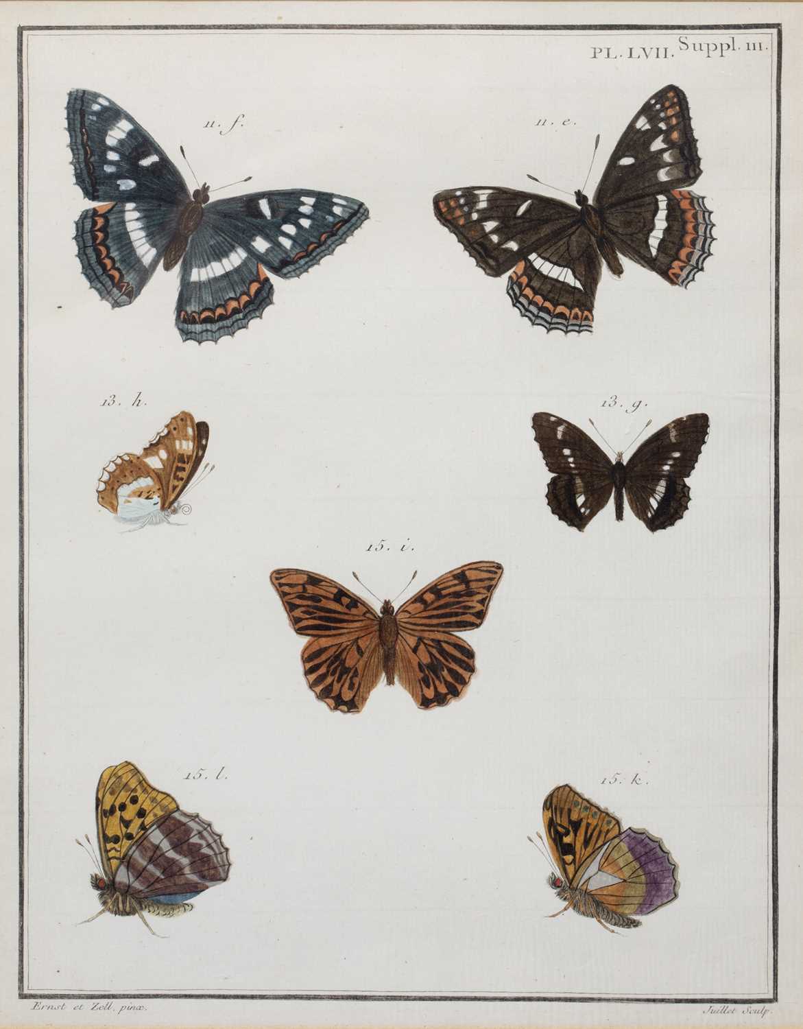 Lot 75 - Juillet Sculp Butterflies, hand coloured...