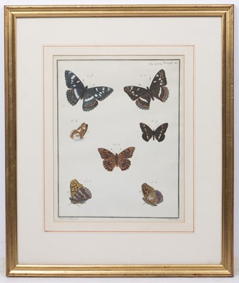 Lot 75 - Juillet Sculp Butterflies, hand coloured...
