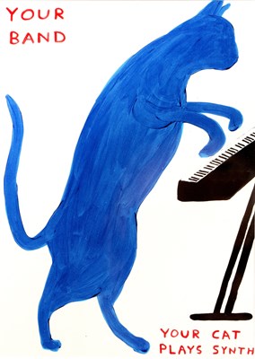 Lot 157 - David Shrigley (b.1968) Your Cat Plays Synth...