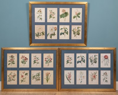 Lot 563 - A collection of twenty four Pierre-Joseph Redouté botanical prints