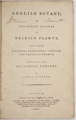 Lot 442 - Sowerby (James). English Botany or Coloured...