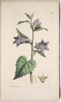 Lot 442 - Sowerby (James). English Botany or Coloured...