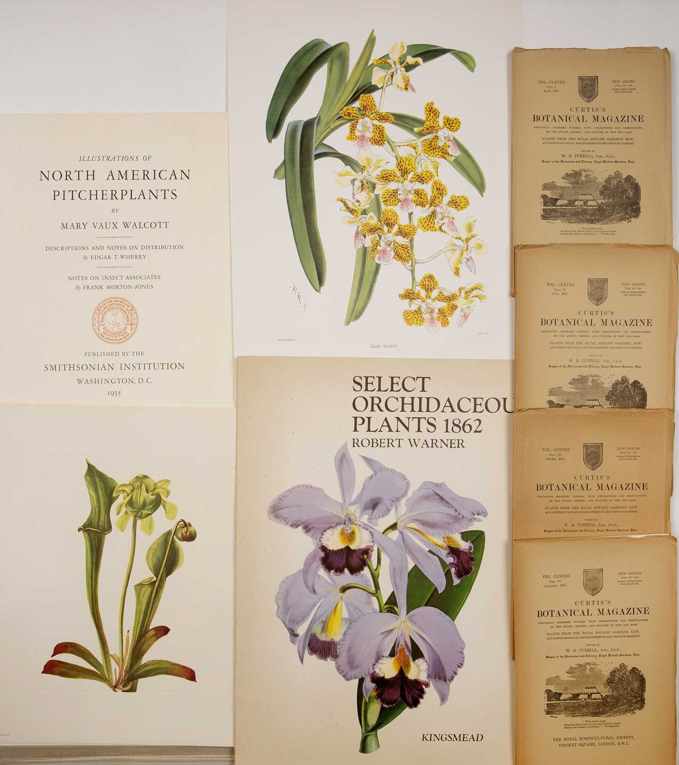 Lot 386 - Curtis's Botanical Magazine. pts 1-4. R.H.S....