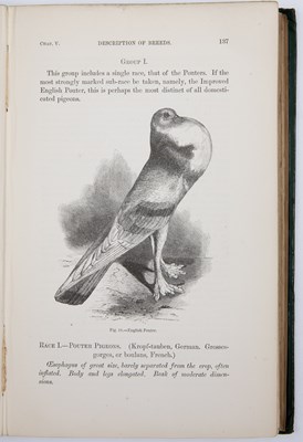 Lot 453 - Darwin (Charles). ‘The Variation of Animals...