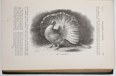 Lot 453 - Darwin (Charles). ‘The Variation of Animals...