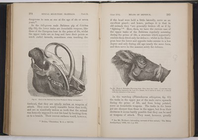 Lot 453 - Darwin (Charles). ‘The Variation of Animals...