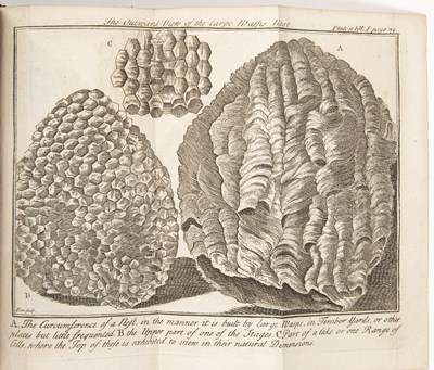 Lot 471 - ‘Spectacle de la Nature: or Nature Display’d...