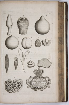 Lot 476 - Plot (Robert). The Natural History of...
