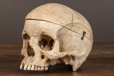 Lot 165 - An anatomical human skull