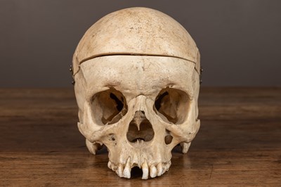 Lot 165 - An anatomical human skull