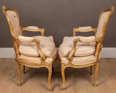 Lot 55 - A pair of antique 18th century style carved gilt wood and gesso moulded salon chairs