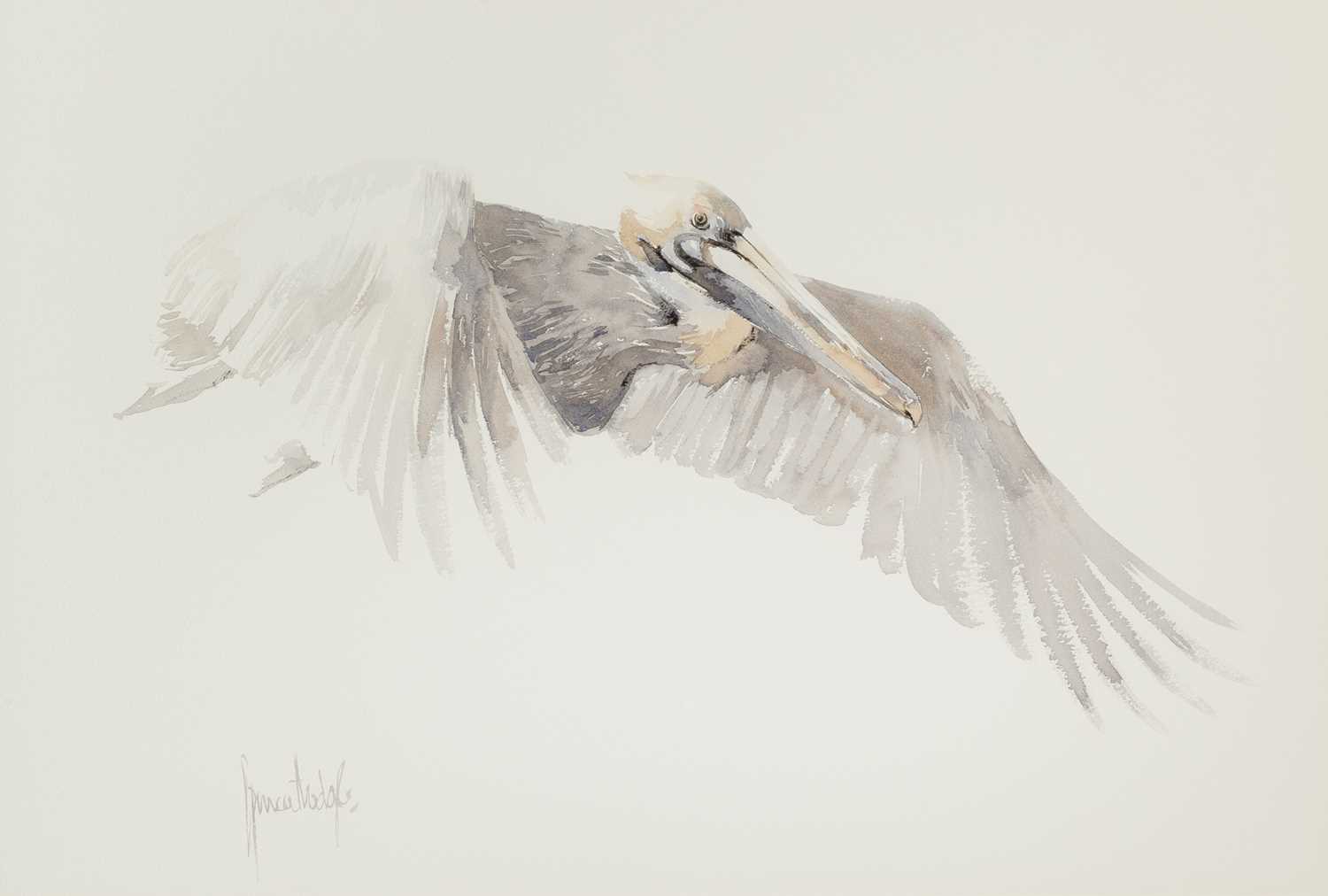 Lot 148 - Spencer Hodge (b.1943) Pelican signed (lower...