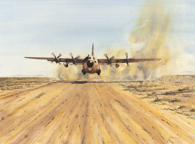 Lot 270 - Squadron Leader Martin Balshaw (Contemporary) '...