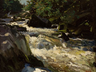 Lot 199 - Anton van Anrooy (1870-1949) A mountain stream,...