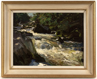 Lot 199 - Anton van Anrooy (1870-1949) A mountain stream,...