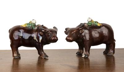 Lot 57 - Pair of cafe au lait glazed model bullocks...