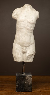 Lot 380 - A plaster cast of a classical torso