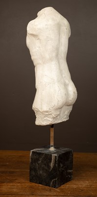 Lot 380 - A plaster cast of a classical torso