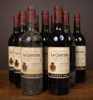 Lot 483 - Ten bottles of Spanish wine