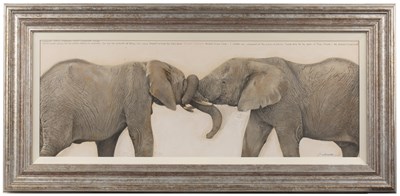 Lot 18 - Kim Donaldson (b.1952) Elephant, Bayete signed...