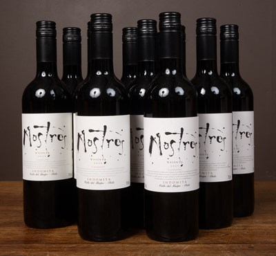 Lot 479 - Twelve bottles of Nostros Carmenère Reserva