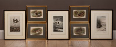 Lot 210 - A collection of thirteen wildlife prints, nine by Archibald Thorburn and four by Henrik Gronvold