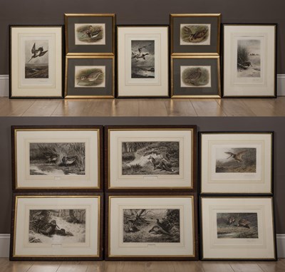 Lot 210 - A collection of thirteen wildlife prints, nine by Archibald Thorburn and four by Henrik Gronvold