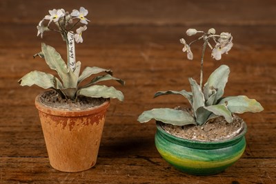 Lot 82 - Beatrice Elizabeth Hindley (1882-1973), two miniature model flowerpots planted with auriculars