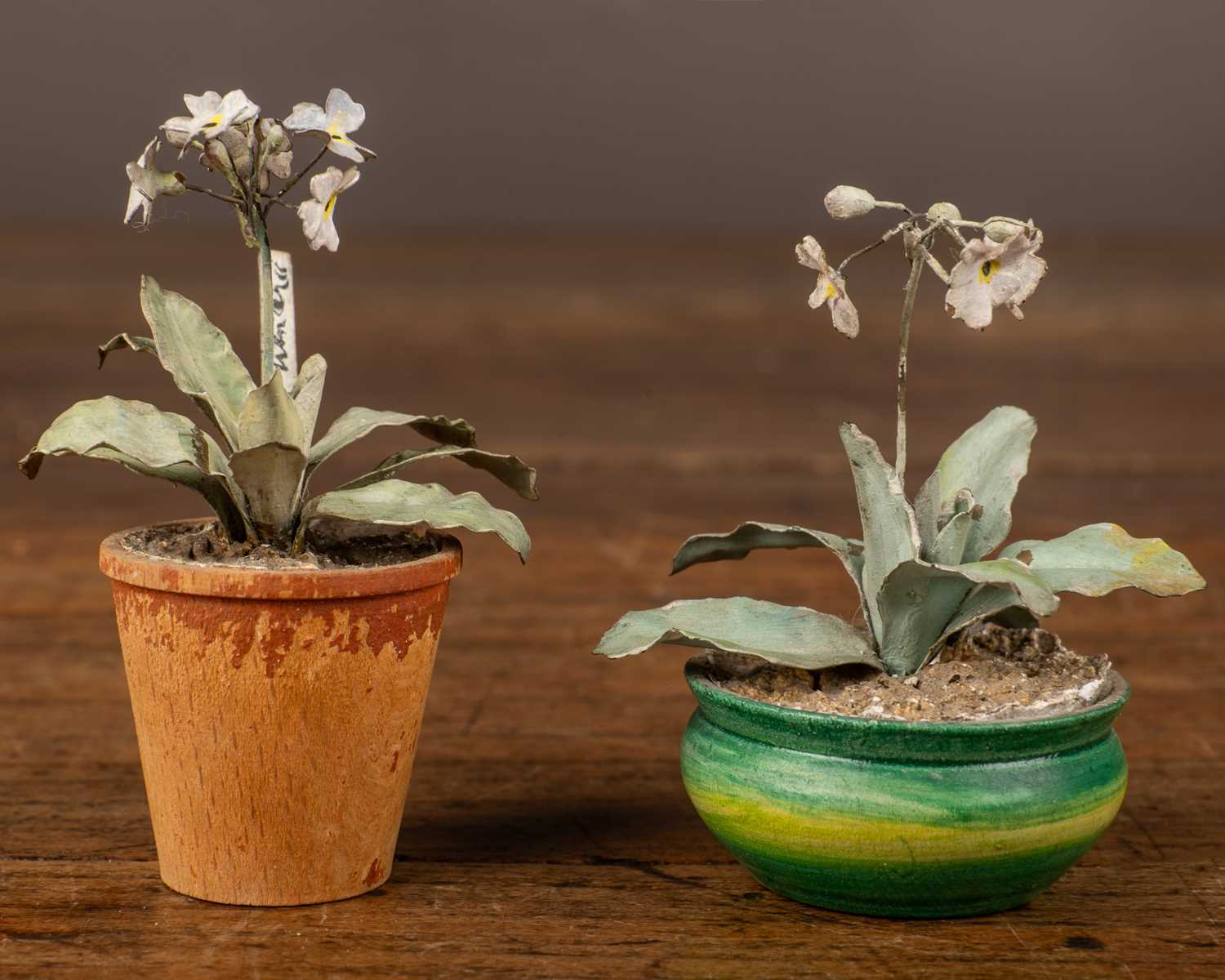 Lot 82 - Beatrice Elizabeth Hindley (1882-1973), two miniature model flowerpots planted with auriculars