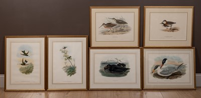 Lot 15 - After J. Gould, fourteen ornithological prints together with one after J Wolf
