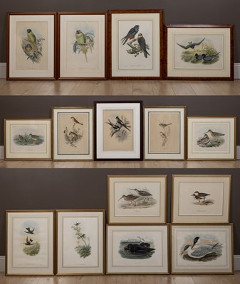 Lot 15 - After J. Gould, fourteen ornithological prints together with one after J Wolf