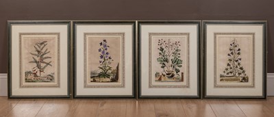 Lot 150 - Abraham Munting (Dutch 1626-1683), a set of four hand coloured copper engravings