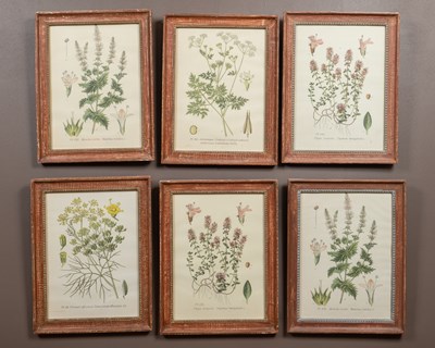 Lot 428 - A set of six botanical prints