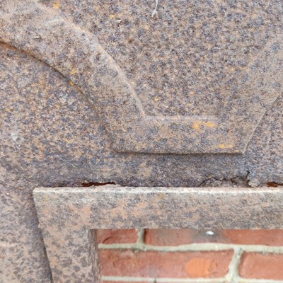 Lot 590 - A Cast Iron Fireplace Insert with a brass fire surround