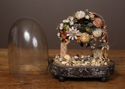 Lot 420 - An antique shell display