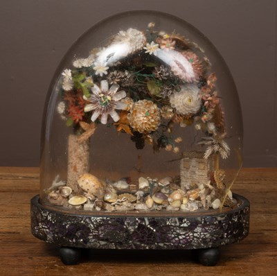 Lot 420 - An antique shell display