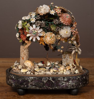 Lot 420 - An antique shell display